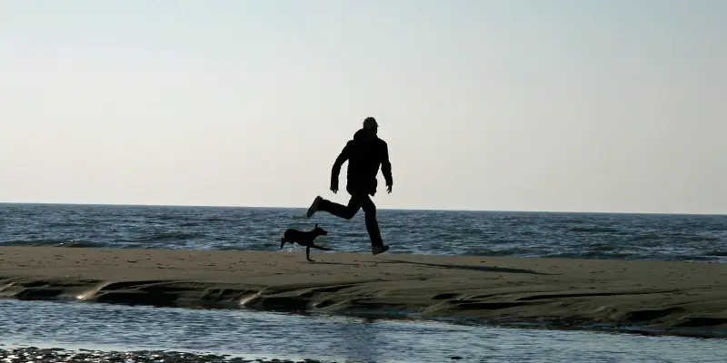 6 Steps of Rational Improvements in Life