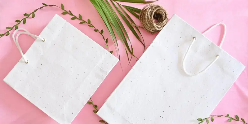 A Paper Bag: Introducing My Second Handicraft