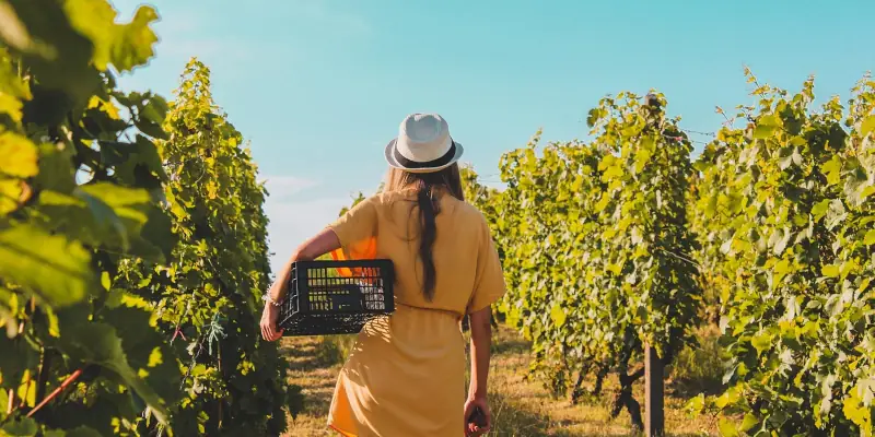 Living Locally and Creating Only With Things at Hand: Why We Don’t Have to Be So Innovative