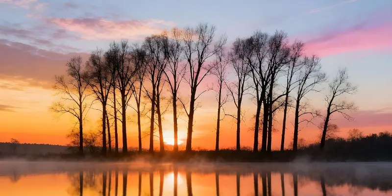 The Second Fragment of the Logic That Fulfills Us: Comprehending the Difference Between Love and Rationality