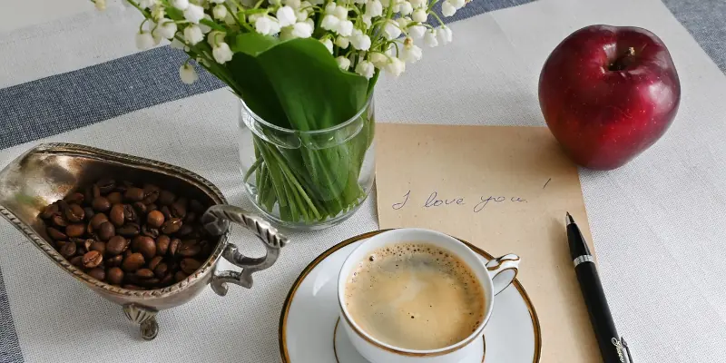 Questions and Answers About Love and Rationality: How to Handle Love?